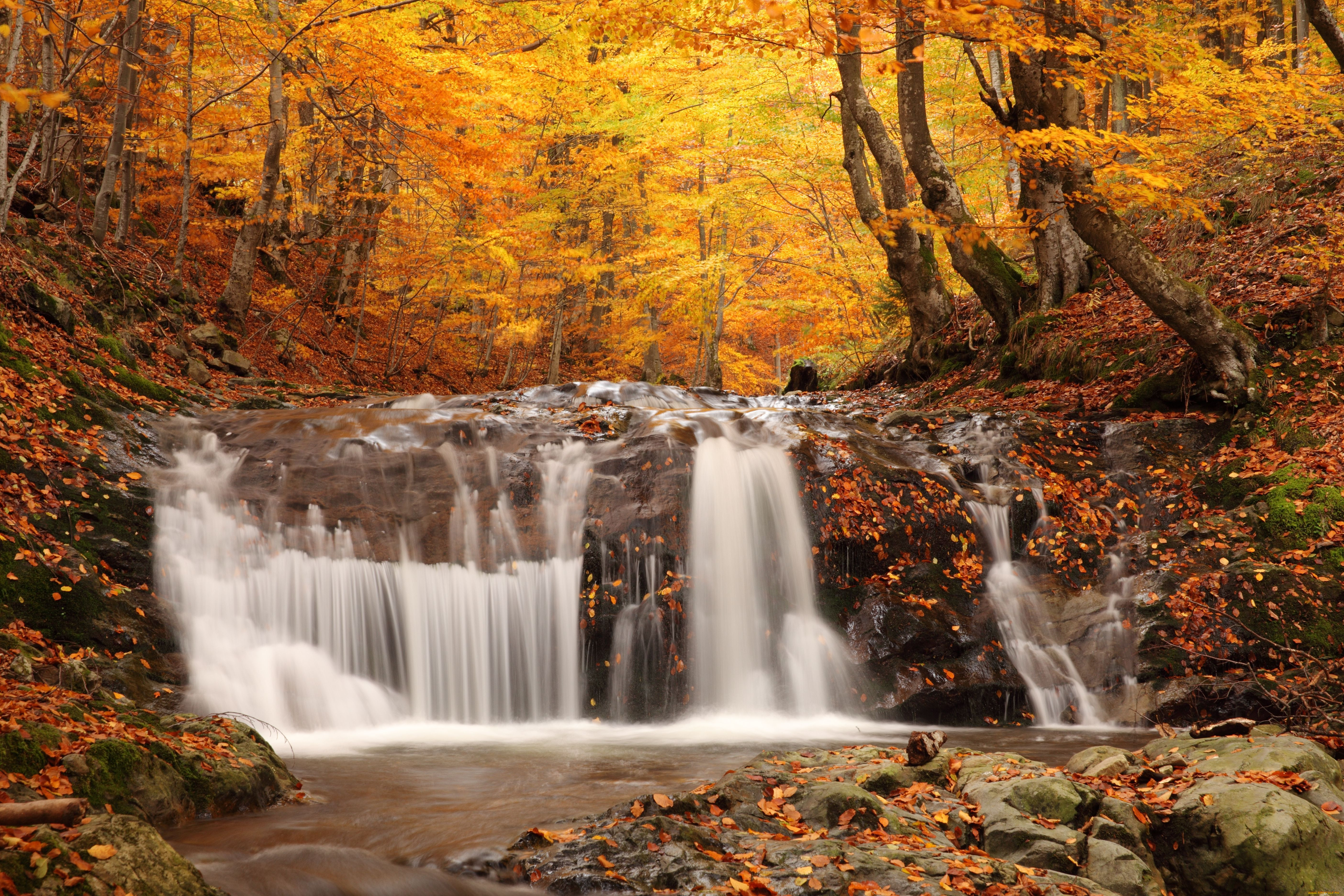 Бесплатные картинки. Природа осень. Природа осенью. Красивая природа осенью. Осенний пейзаж на рабочий стол.